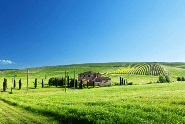 Preserve Your Agricultural Assets with 1031 Exchange