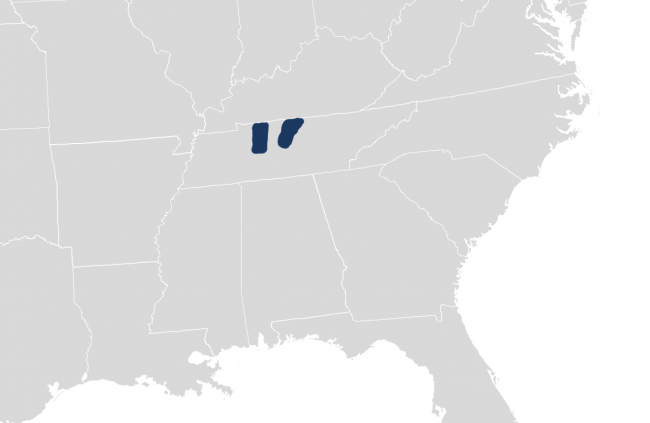IRS Announces Tax Relief for Multiple Tennessee Counties Impacted by Recent Tornados