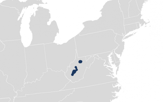 IRS Announces Tax Relief for West Virginia Taxpayers Impacted by Severe Storms