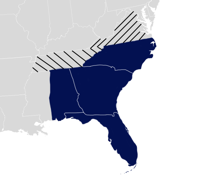 IRS Announces Tax Relief for Taxpayers in Florida, Alabama, Georgia, North Carolina, South Carolina, and counties in Tennessee and Virginia Impacted by Hurricanes Milton and Helene